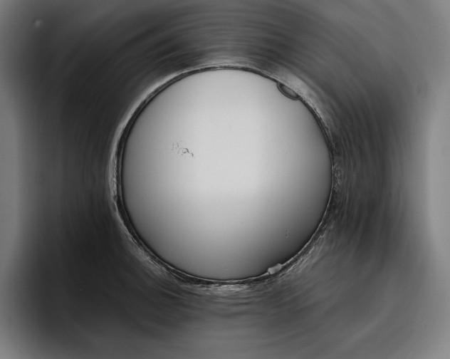 X0000096691140200802191423