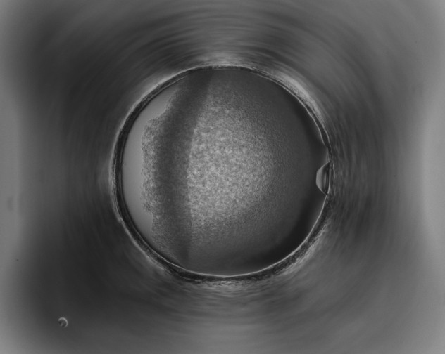 X0000096691141200802191423