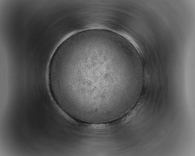 X0000096691142200802191423