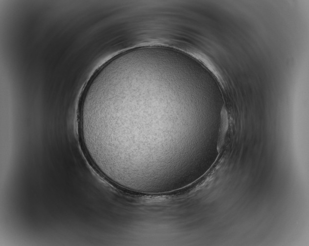 X0000096691143200802191423