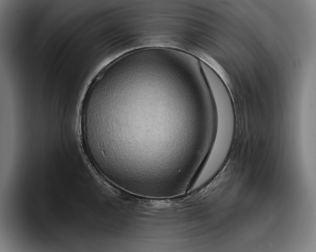 X0000096691144200802191423