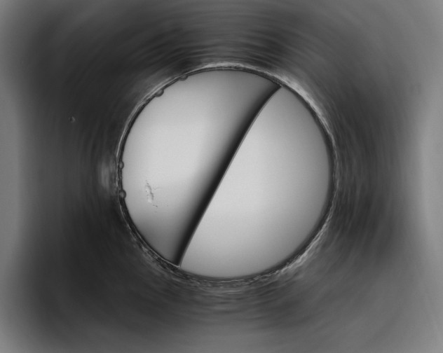 X0000096691145200802191423