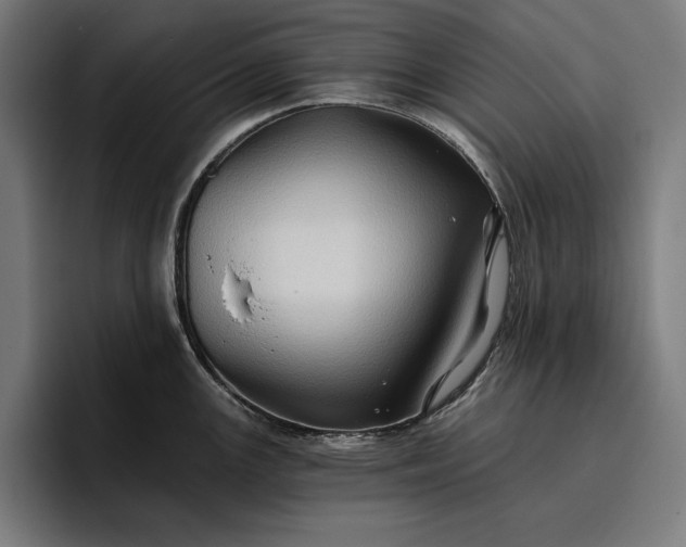 X0000096691147200802191423