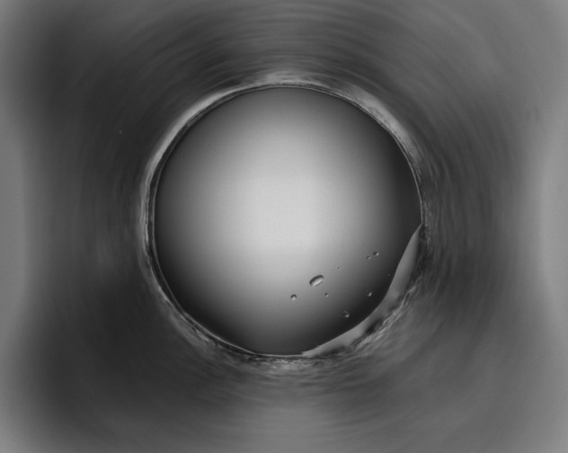 X0000096691148200802191423