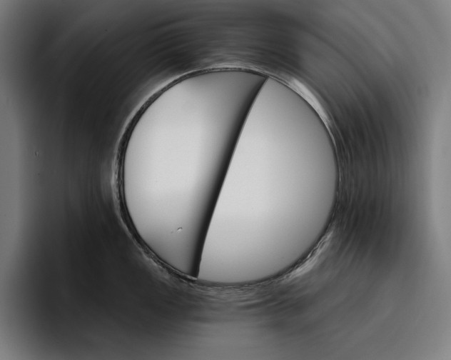 X0000096691149200802191423