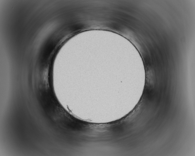 X0000096691150200802191423