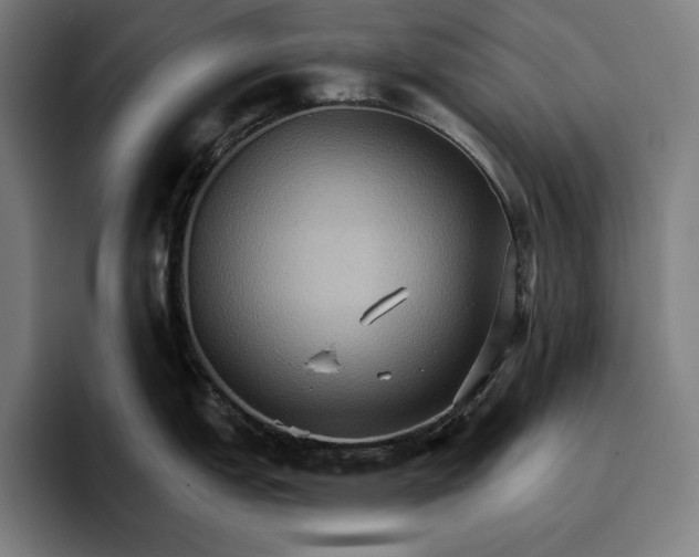 X0000096691151200802191423