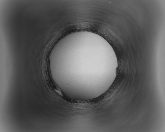 X0000096691153200802191422