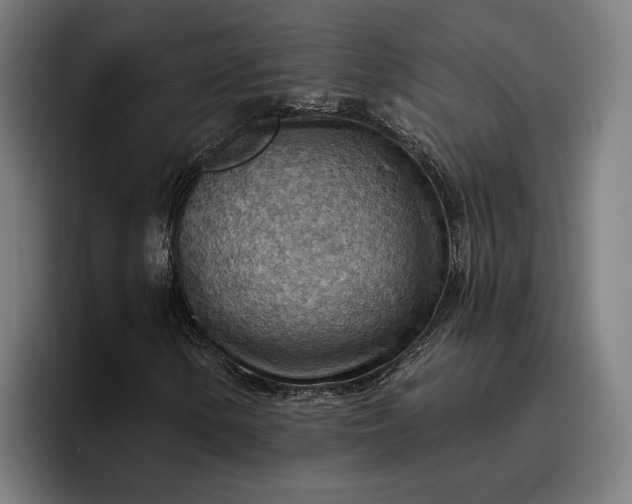 X0000096691154200802191422