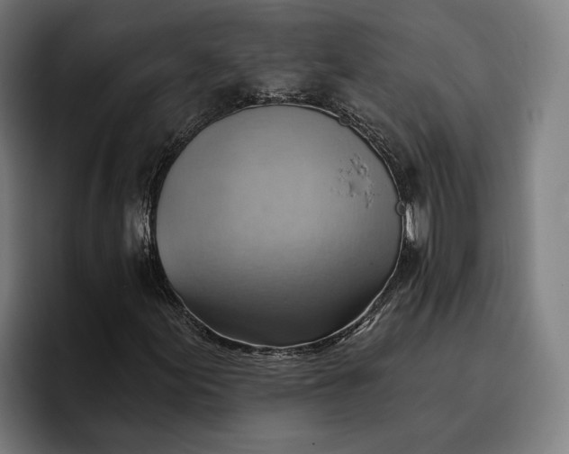 X0000096691155200802191422