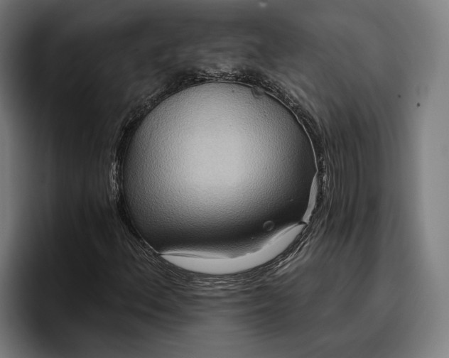 X0000096691156200802191422