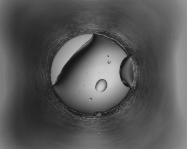 X0000096691157200802191422