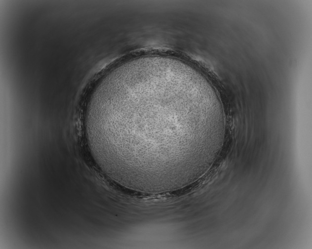 X0000096691159200802191422