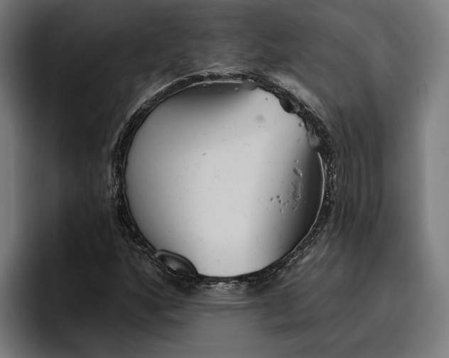 X0000096691160200802191422