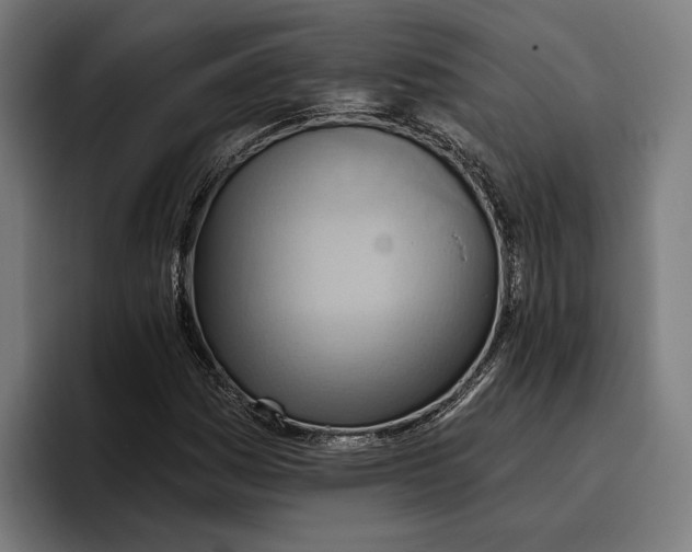 X0000096691161200802191422