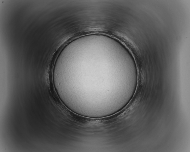 X0000096691162200802191422