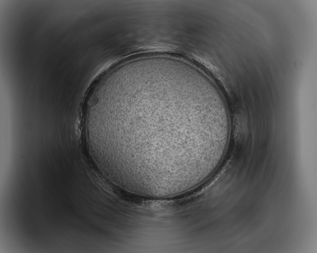 X0000096691163200802191422