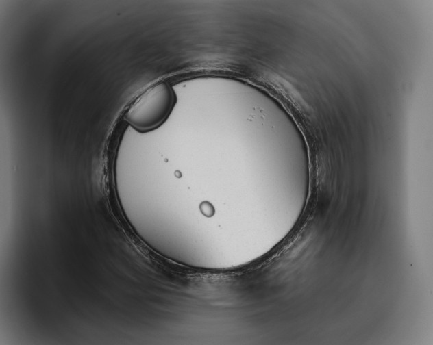 X0000096691164200802191422