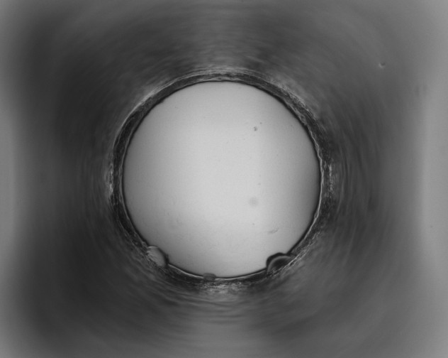 X0000096691165200802191422