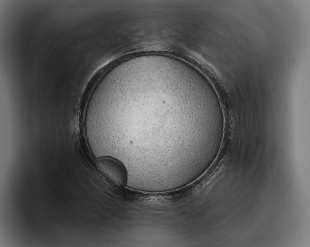 X0000096691166200802191422