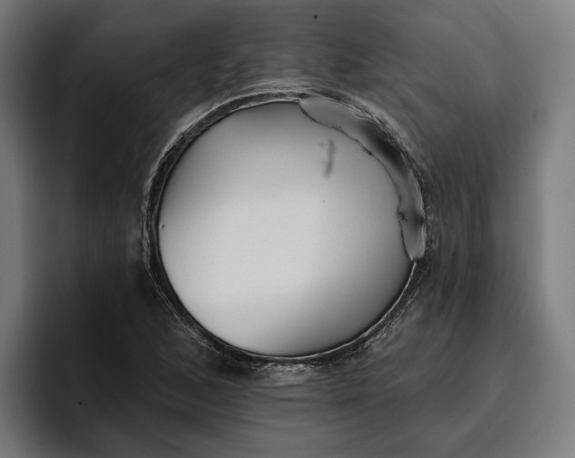 X0000096691168200802191422