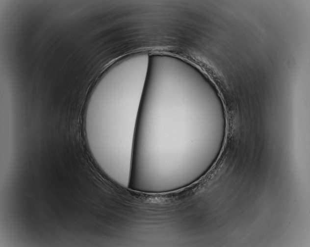 X0000096691169200802191422