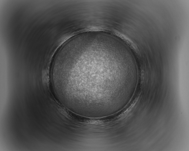 X0000096691170200802191422