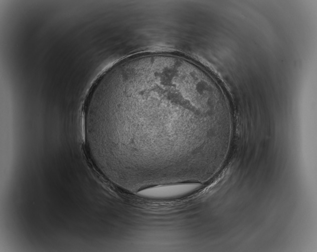 X0000096691171200802191422