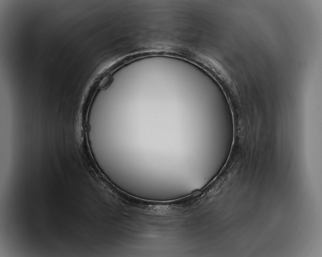 X0000096691172200802191422