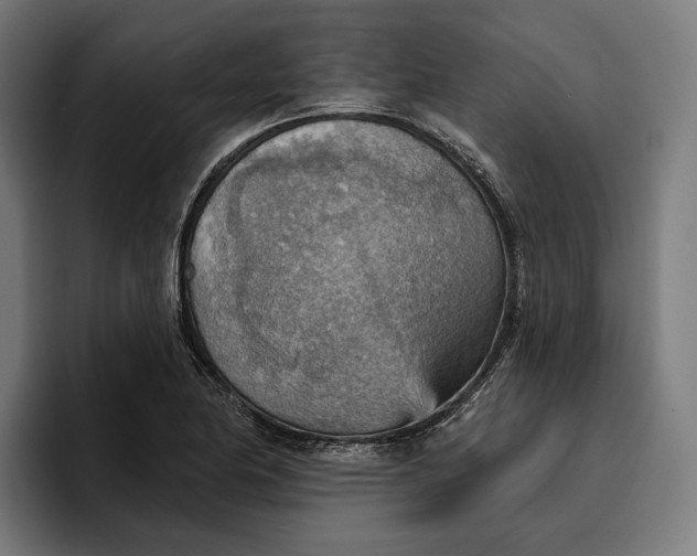 X0000096691174200802191422