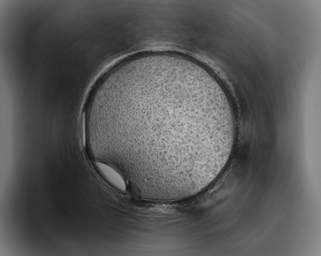 X0000096691175200802191422