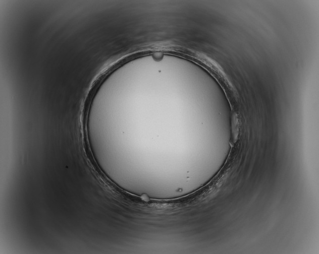 X0000096691176200802191422