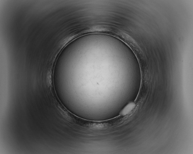 X0000096691177200802191422