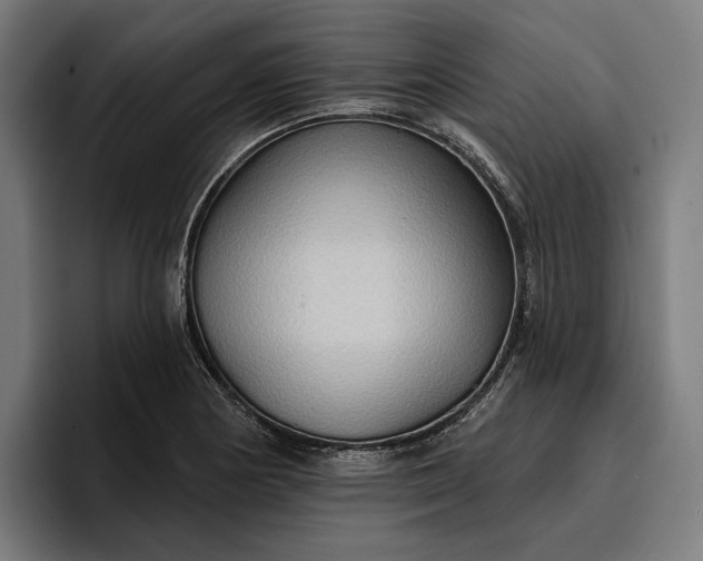 X0000096691178200802191422