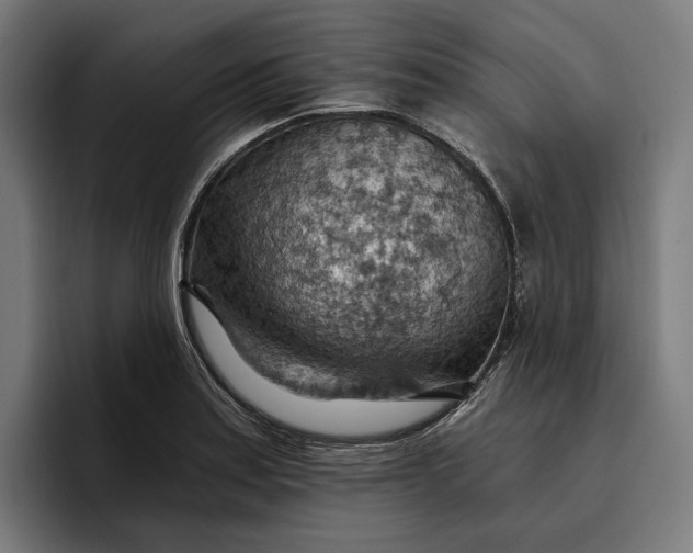 X0000096691179200802191422