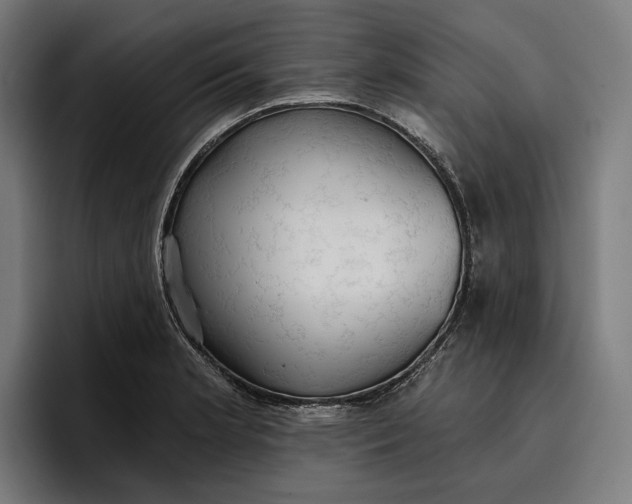 X0000096691181200802191422