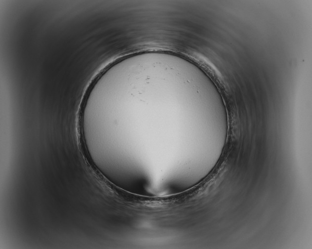 X0000096691182200802191422