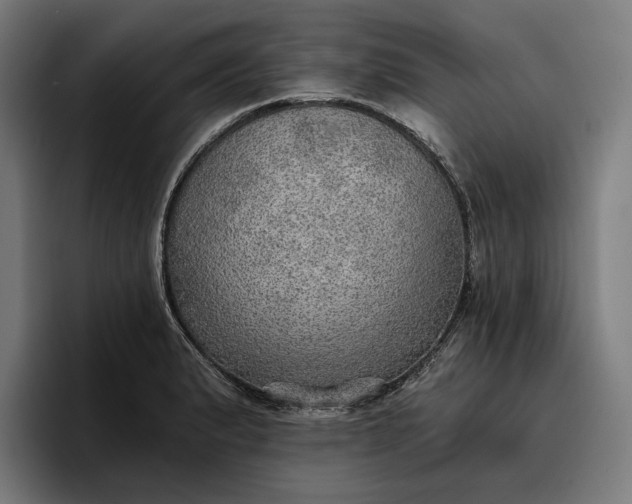 X0000096691183200802191422