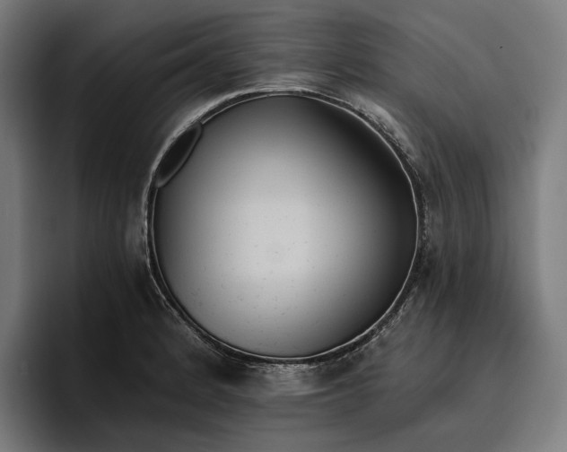 X0000096691184200802191422