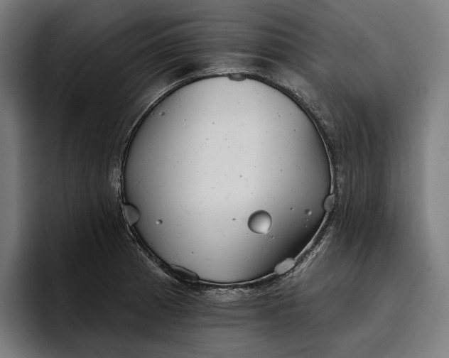 X0000096691185200802191422