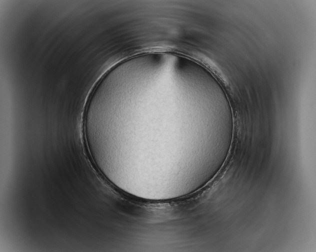 X0000096691186200802191422