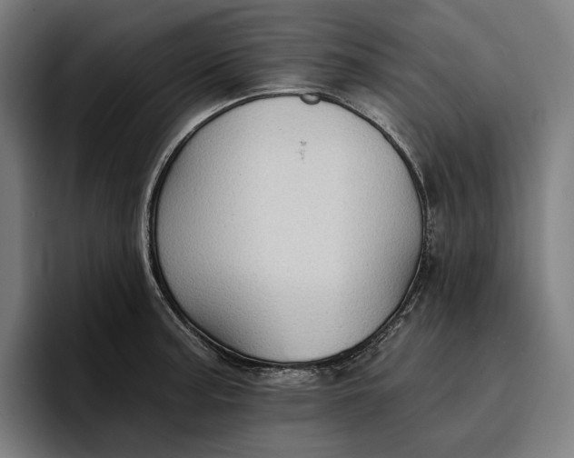 X0000096691187200802191422