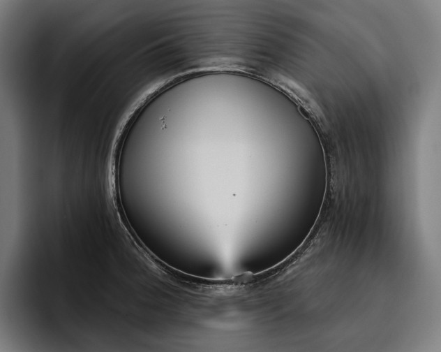 X0000096691188200802191422