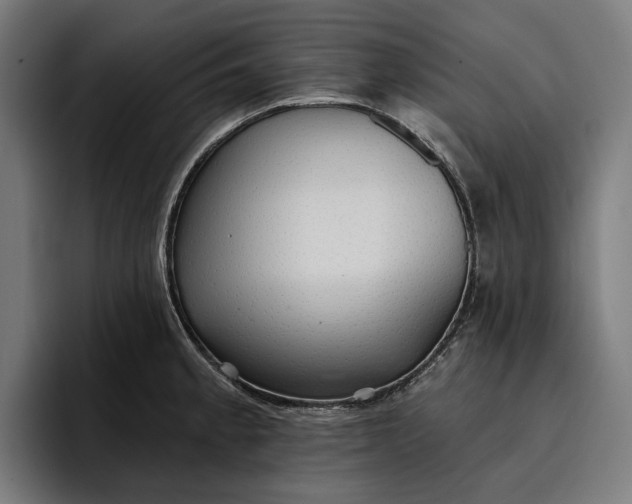 X0000096691189200802191422