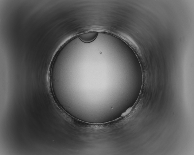 X0000096691190200802191422