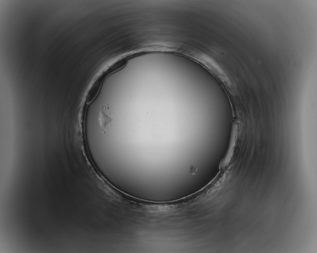 X0000096691192200802191422