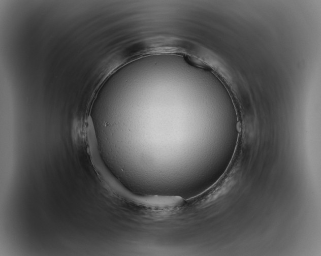 X0000096691193200802191422