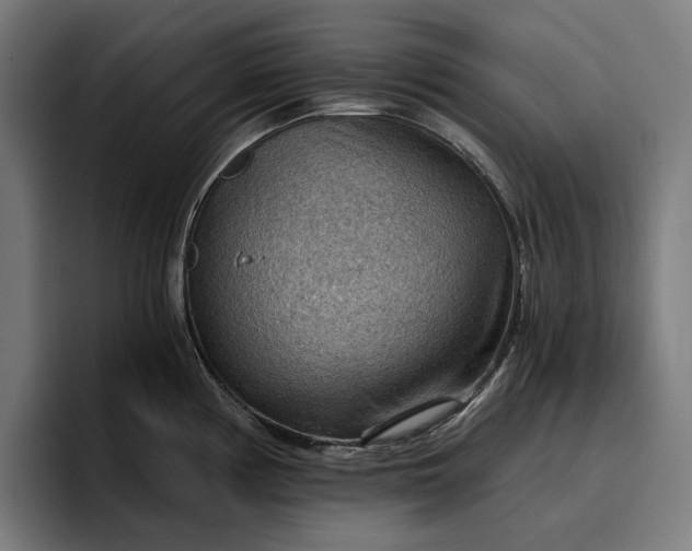 X0000096691194200802191422