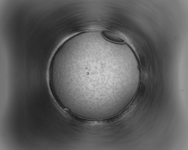 X0000096691195200802191422