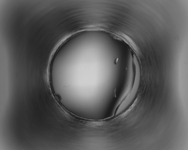 X0000096691196200802191422